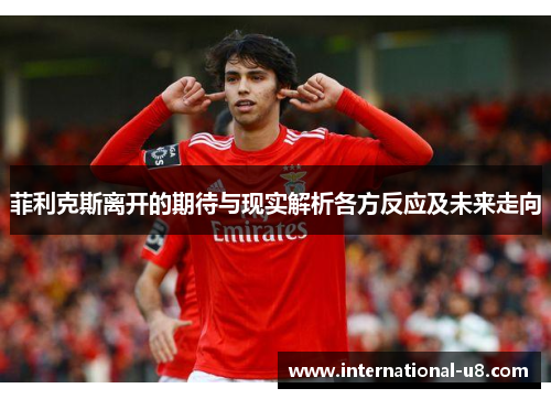 菲利克斯离开的期待与现实解析各方反应及未来走向
